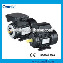 industrial pump motor